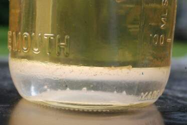 آب ته نشین شده در گازوئیل